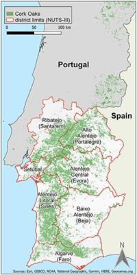 Linking Cork to Cork Oak Landscapes: Mapping the Value Chain of Cork Production in Portugal